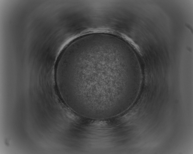 X0000093171174200709261522