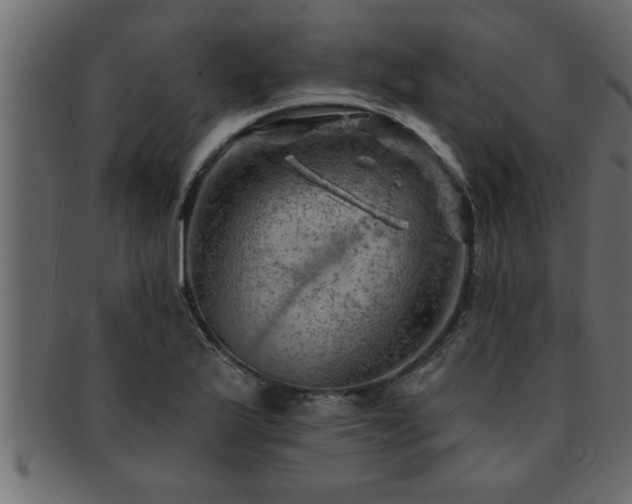 X0000093171175200709261522