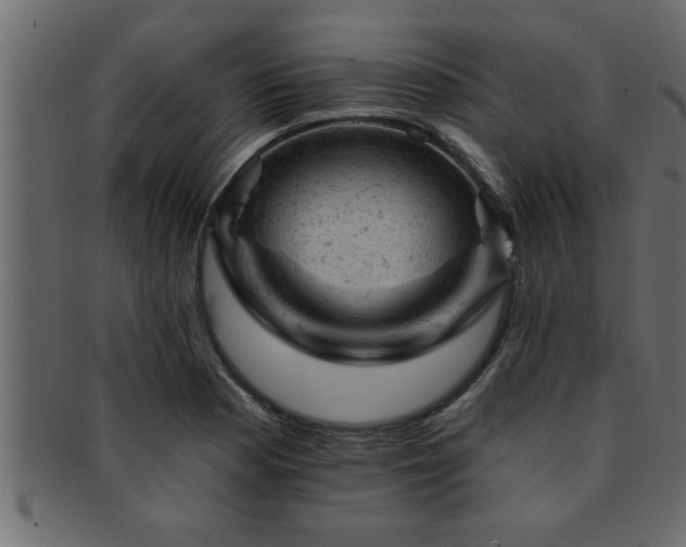 X0000093171177200709261522