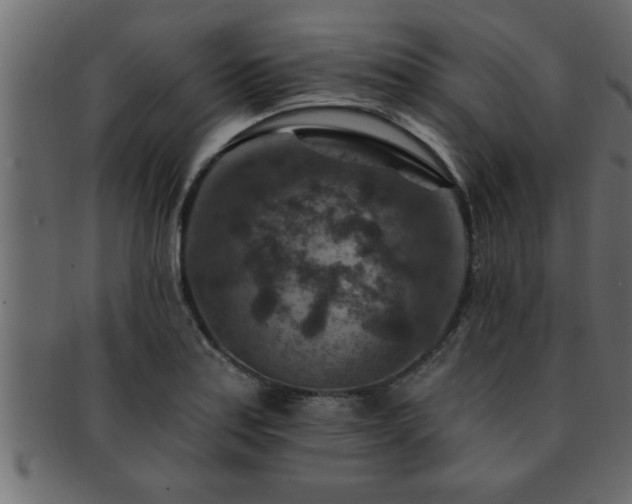 X0000093171179200709261522