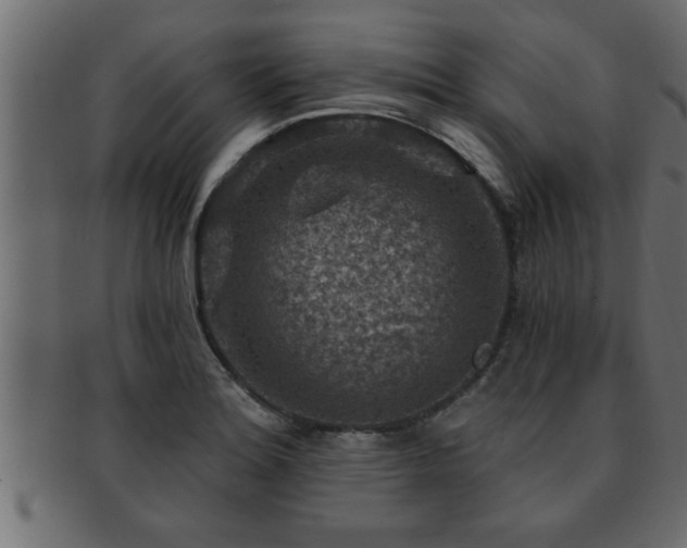 X0000093171180200709261522