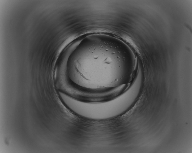 X0000093171181200709261522