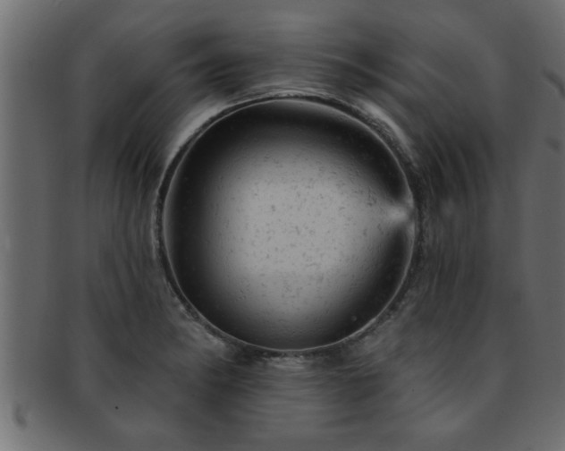 X0000093171182200709261522