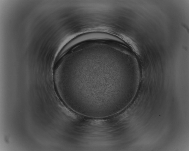 X0000093171184200709261522