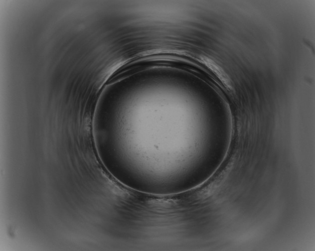 X0000093171185200709261522