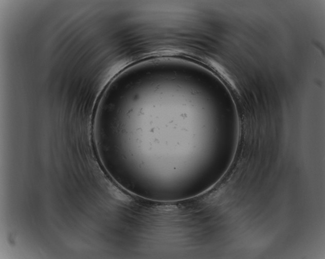 X0000093171186200709261522