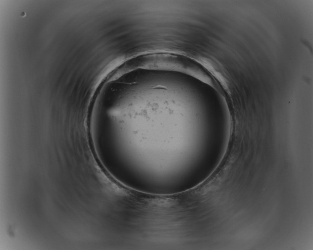 X0000093171189200709261522