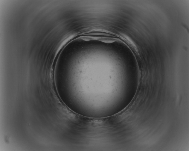 X0000093171190200709261522