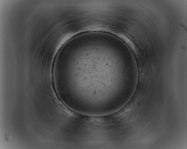 X0000093171191200709261522