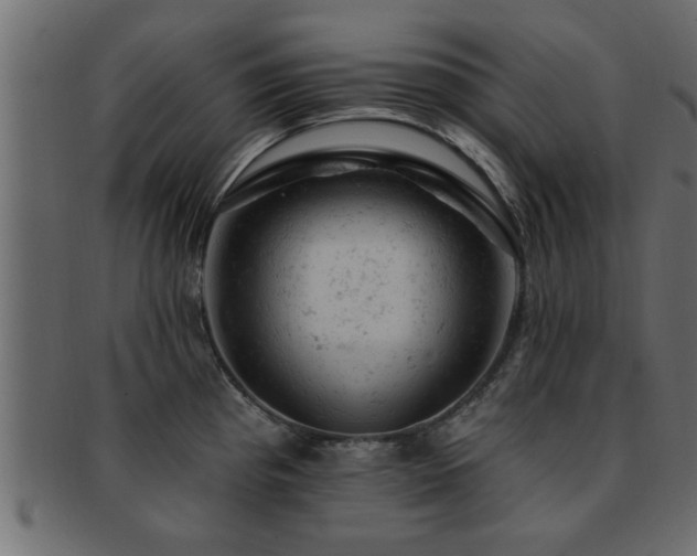 X0000093171193200709261522