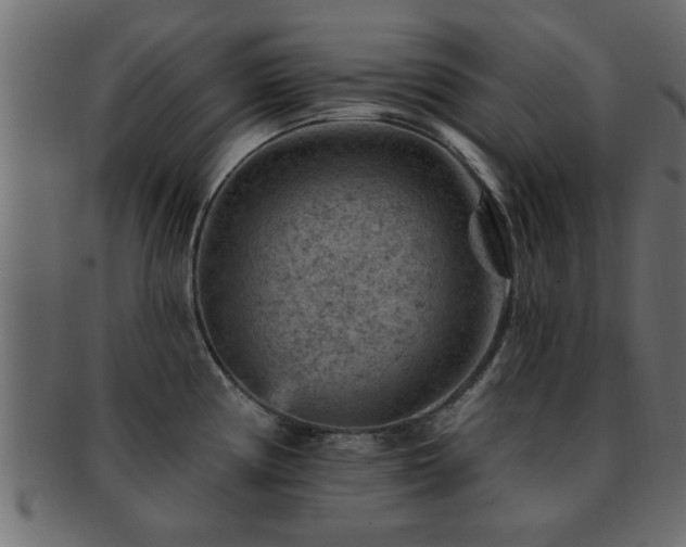 X0000093171194200709261522