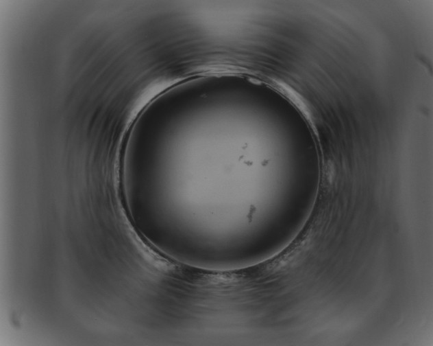 X0000093171195200709261522