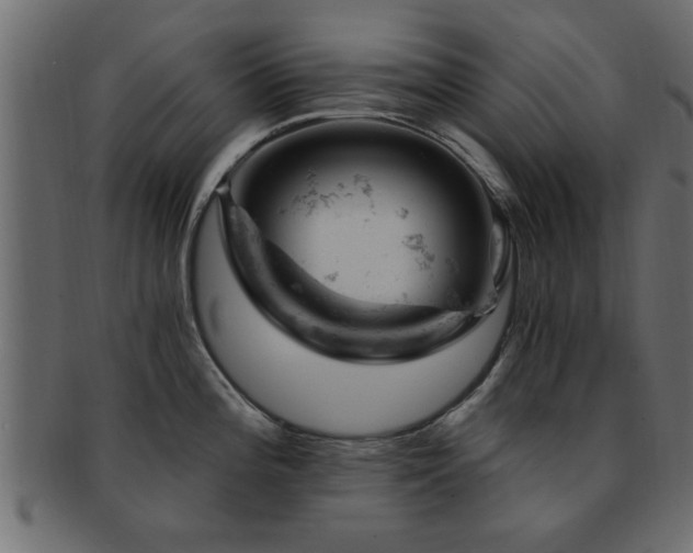 X0000093171196200709261522