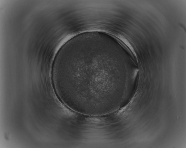 X0000093171197200709261522