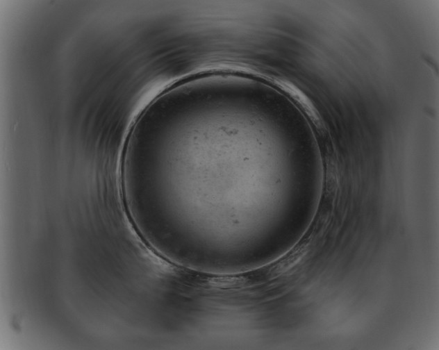 X0000093171199200709261522