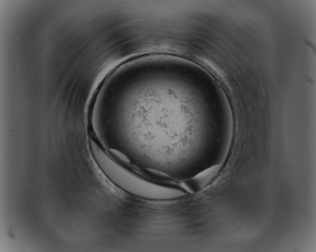 X0000093171200200709261522