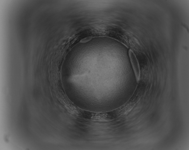 X0000093171201200709261521