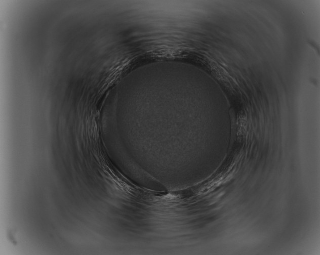 X0000093171202200709261521