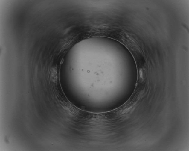 X0000093171203200709261521