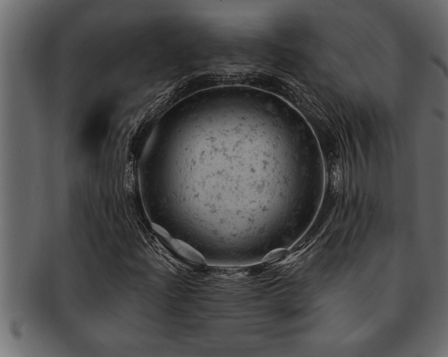 X0000093171204200709261521