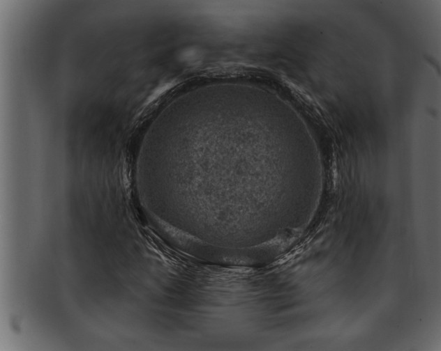 X0000093171206200709261521