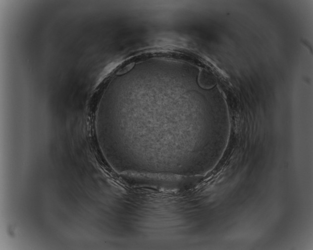 X0000093171208200709261521