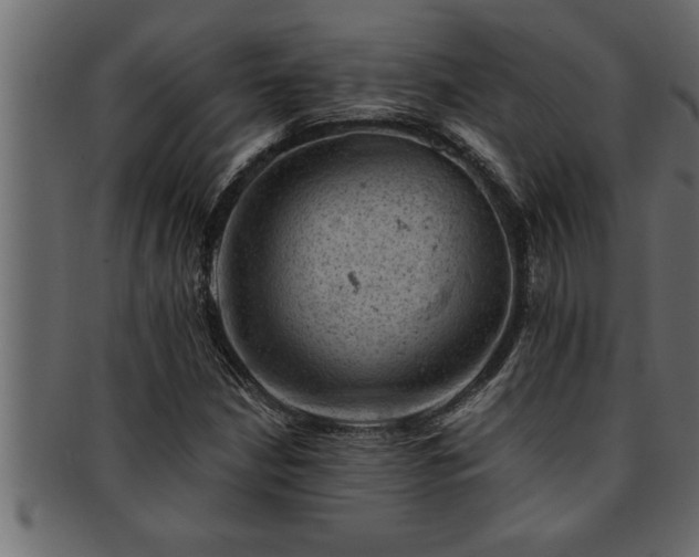 X0000093171210200709261521