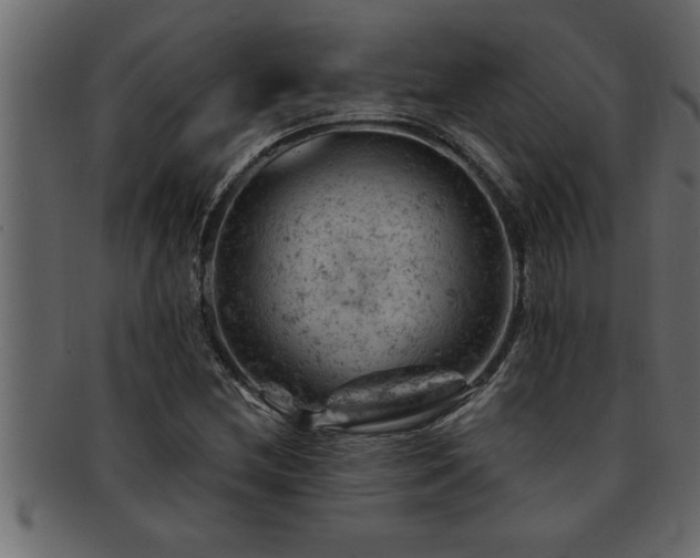 X0000093171212200709261521