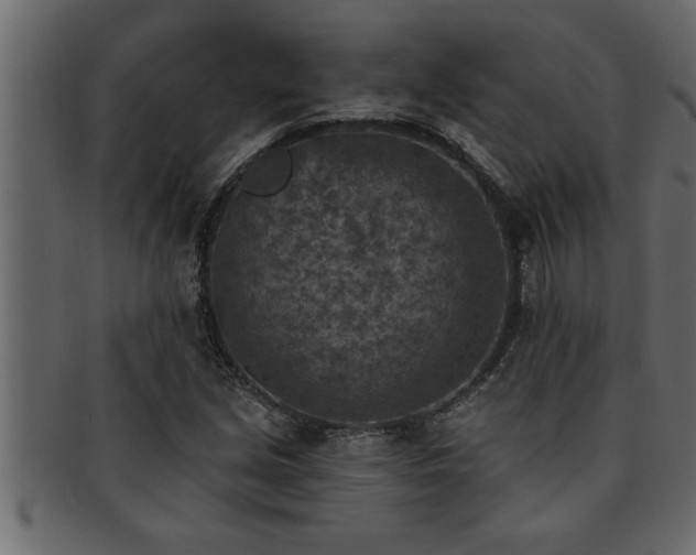 X0000093171213200709261521