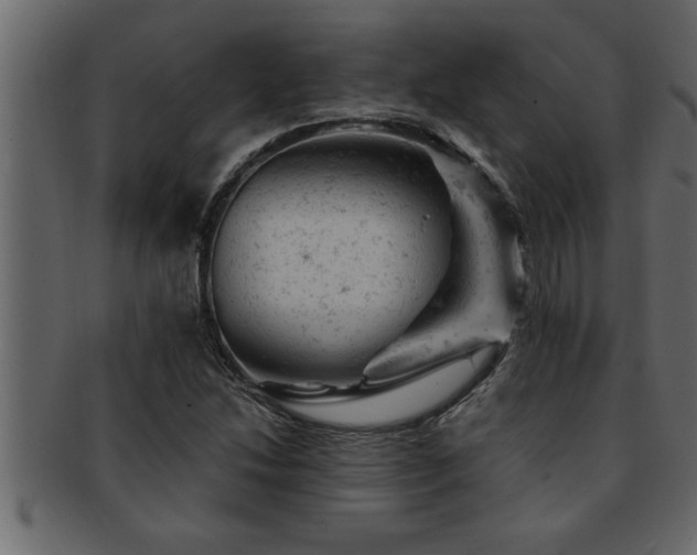 X0000093171214200709261521