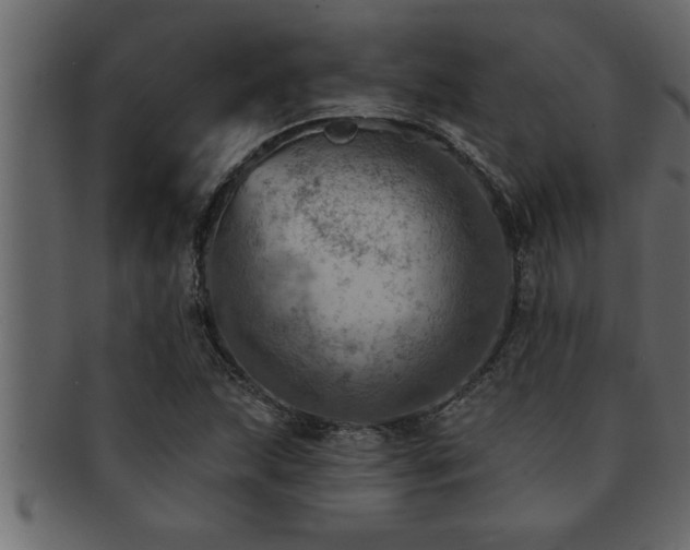 X0000093171215200709261521