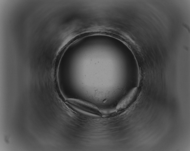 X0000093171216200709261522