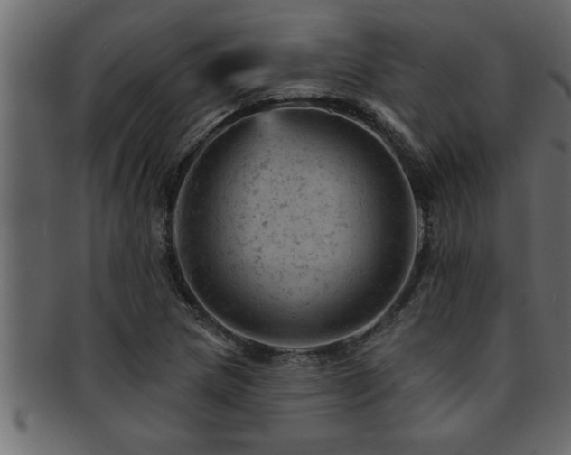 X0000093171217200709261522