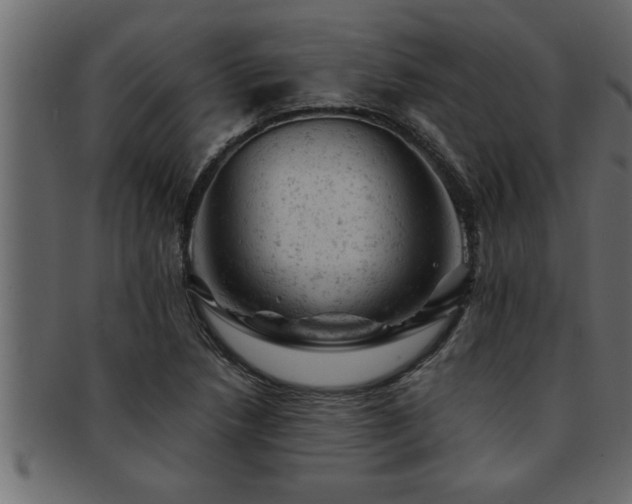 X0000093171218200709261522