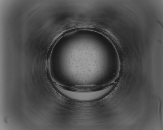 X0000093171220200709261522