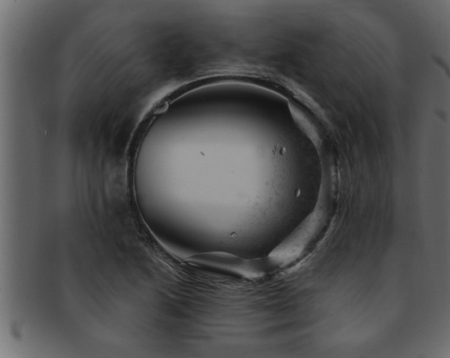 X0000093171222200709261522