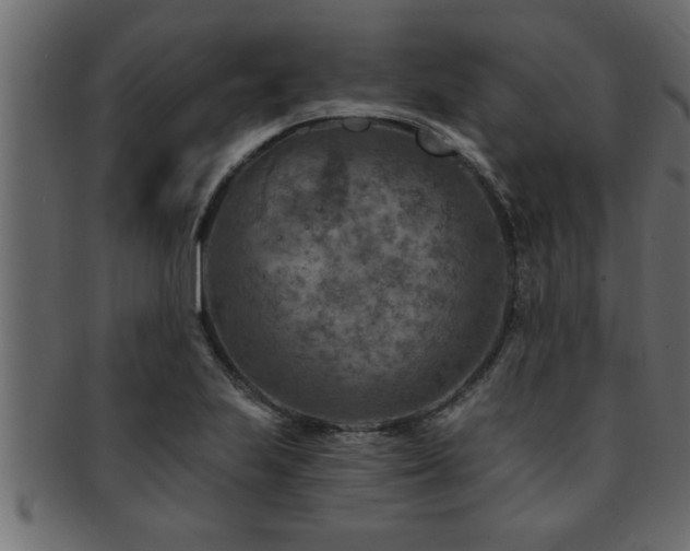 X0000093171223200709261522