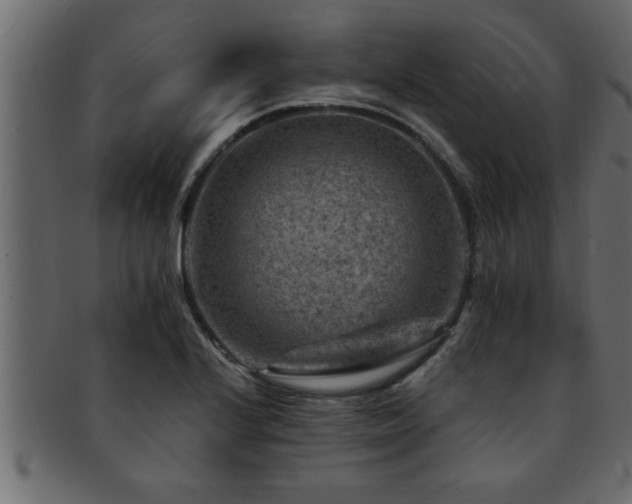 X0000093171224200709261522
