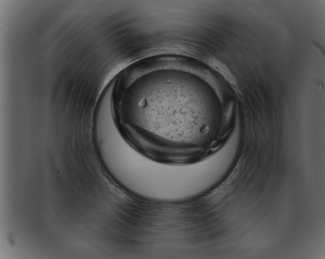 X0000093171226200709261522