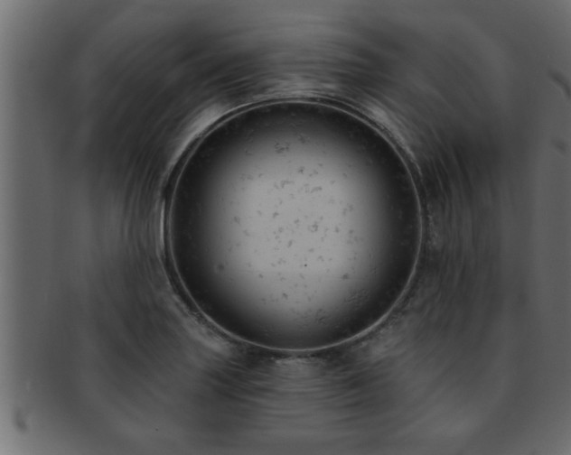 X0000093171227200709261522