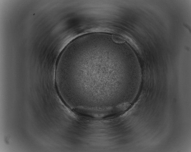 X0000093171228200709261522