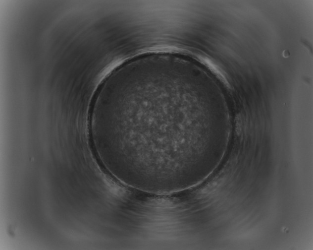 X0000093171229200709261522