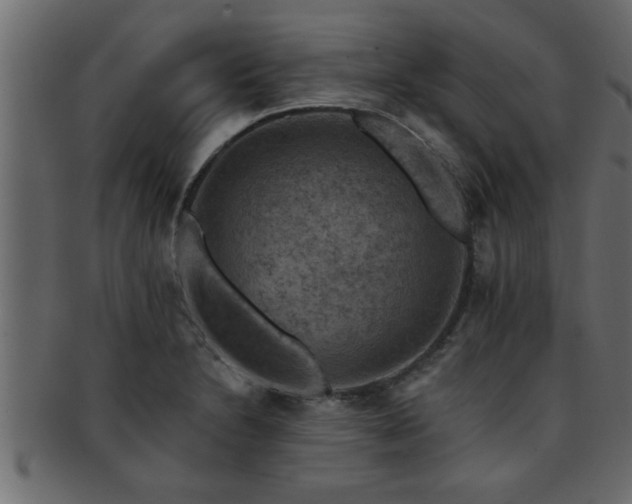 X0000093171230200709261522
