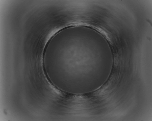 X0000093171231200709261522