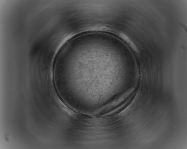X0000093171232200709261522