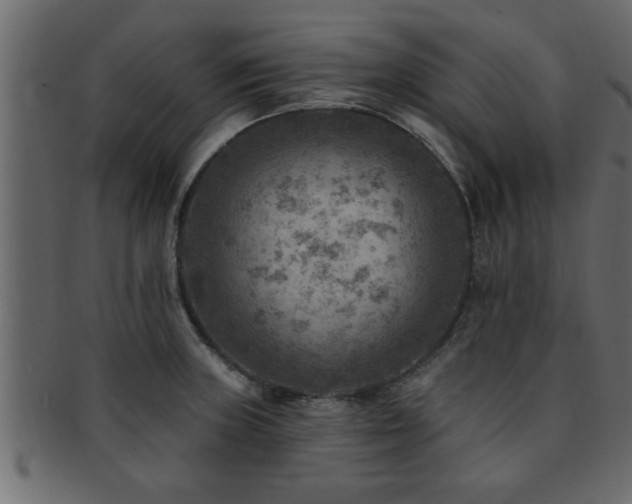 X0000093171235200709261522