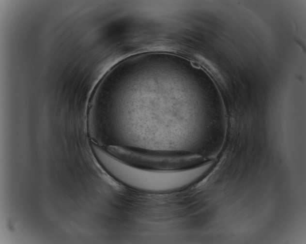 X0000093171236200709261522