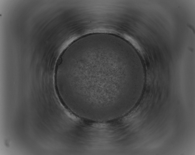 X0000093171237200709261522