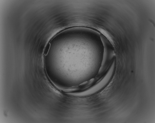 X0000093171238200709261522