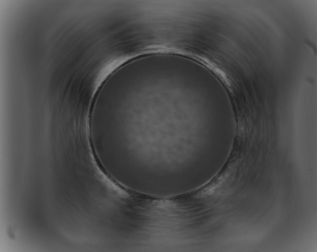 X0000093171239200709261522